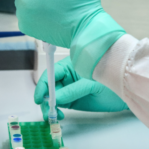 Award winning researchers